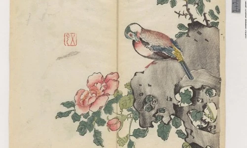 Cổ thư in màu vẹn nguyên kỳ lạ suốt 300 năm - ảnh 2