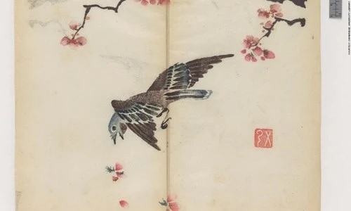 Cổ thư in màu vẹn nguyên kỳ lạ suốt 300 năm - ảnh 3