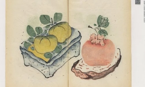 Cổ thư in màu vẹn nguyên kỳ lạ suốt 300 năm - ảnh 5