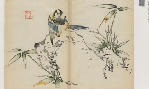 Cổ thư in màu vẹn nguyên kỳ lạ suốt 300 năm - ảnh 6