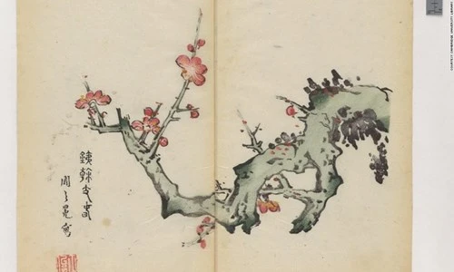 Cổ thư in màu vẹn nguyên kỳ lạ suốt 300 năm - ảnh 7