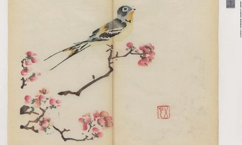 Cổ thư in màu vẹn nguyên kỳ lạ suốt 300 năm - ảnh 8