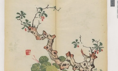 Cổ thư in màu vẹn nguyên kỳ lạ suốt 300 năm - ảnh 9