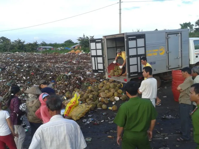 PC49 Công an tỉnh Đắk Lắk tổ chức tiêu hủy sầu riêng nhúng hóa chất của cơ sở Rồng Hoa Thái - một trong ba cơ sở bị xử phạt - Ảnh: Duy Hòa