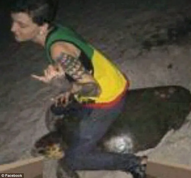 Cô gái có nguy cơ phải ngồi tù 5 năm vì ngược đãi rùa biển ảnh 1 Cô gái có nguy cơ phải ngồi tù 5 năm vì ngược đãi rùa biển ảnh 1