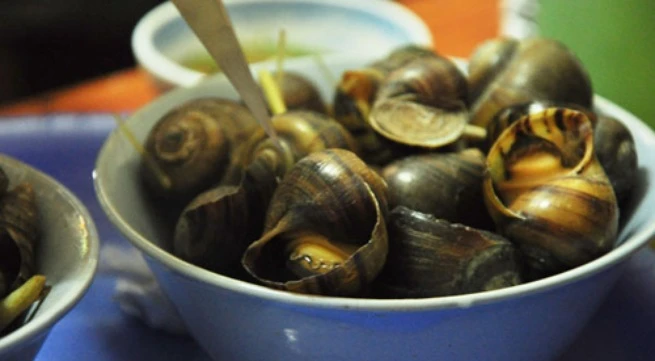Ốc là thực phẩm được nhiều người yêu thích nhất là trong thời tiết se lạnh mùa thu đông (Ảnh minh họa: Internet)