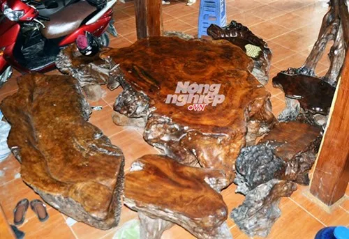 Săn báu vật gù hương trên núi Mào Gà - ảnh 2