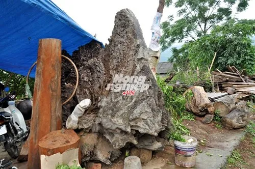 Săn báu vật gù hương trên núi Mào Gà - ảnh 3