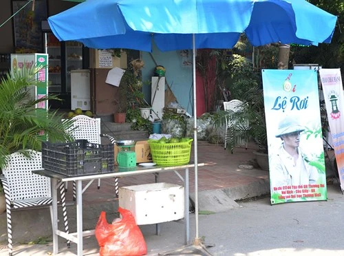 Lệ Rơi bán ổi ở Hà Nội sau những ngày rơi lệ ở showbiz - ảnh 8