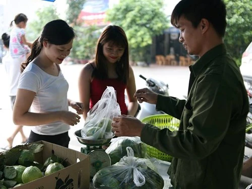 Lệ Rơi bán ổi ở Hà Nội sau những ngày rơi lệ ở showbiz - ảnh 5