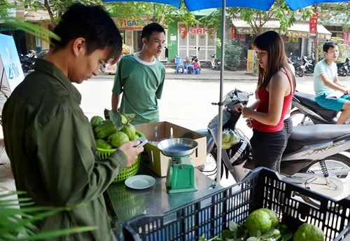 Lệ Rơi bán ổi ở Hà Nội sau những ngày rơi lệ ở showbiz - ảnh 4