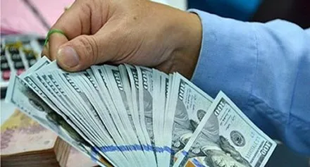 Cú sốc và cảnh báo cuối năm cho kẻ ‘chơi’ USD ảnh 1 Những cảnh báo về USD tăng giá khiến chúng ta phải luôn cảnh giác.