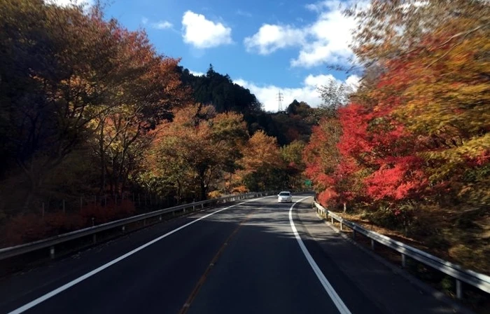 Sang Nhật càng xấu hổ cho kiểu lái ôtô Việt Nam ảnh 3