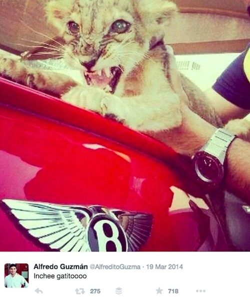 Cuộc sống xa hoa của con trai trùm ma túy El Chapo - ảnh 5