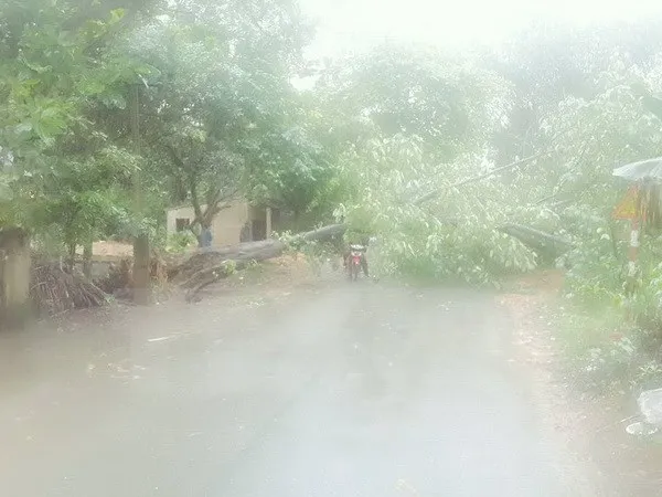 Hà Nội tiếp tục có mưa to về chiều, đề phòng ngập nặng ảnh 1 Hà Nội tiếp tục có mưa to về chiều, đề phòng ngập nặng ảnh 1