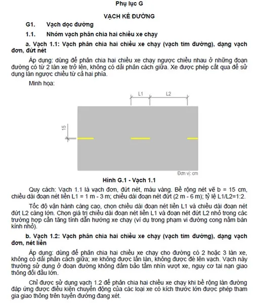 Quy định mới vạch vàng-trắng ở Việt Nam? - ảnh 2