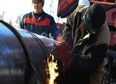 Belarus dẹp khu cắm trại tập trung gần biên giới Ba Lan, người di cư đã đi đâu? ảnh 3 Belarus thông báo tạm thời đóng đường ống dẫn dầu sang EU