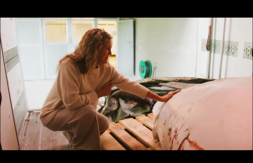 Cá voi trắng Hvaldimir.png