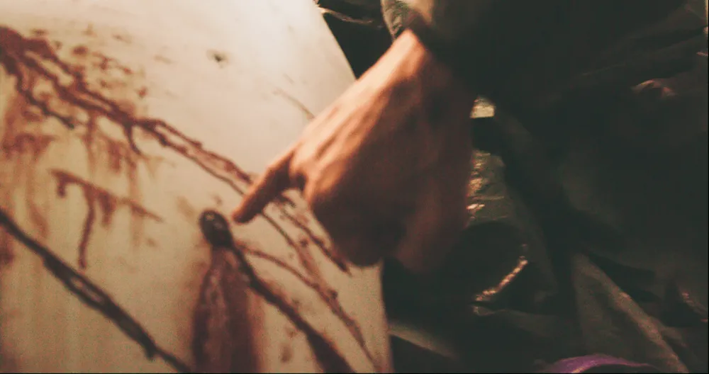 Vết đạn trên xác cá voi trắng Hvaldimir_2.png