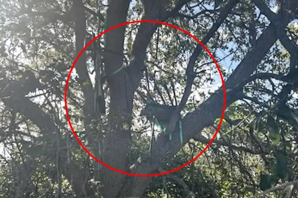 Tháp săn khả nghi hướng thẳng vào nơi máy bay chở Tổng thống Trump cất hạ cánh.jpg