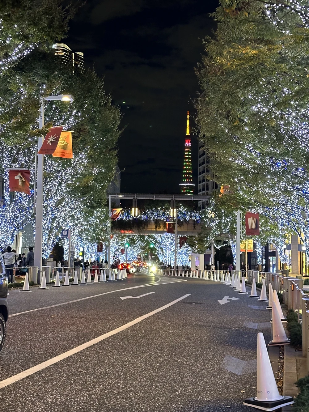 2412 Châu Á lung linh, sáng rực chào đón Giáng sinh 2025_6.jpg