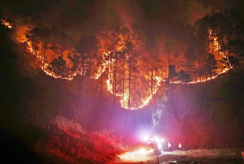 ĐT_Nhìn lại các thảm hoạ tàn khốc trong năm 2025_4_cháy rừng Hàn Quốc.jpg