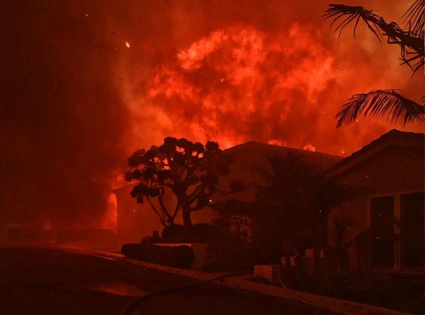 ĐT_Nhìn lại các thảm hoạ tàn khốc trong năm 2025_4_cháy rừng Mỹ.jpg