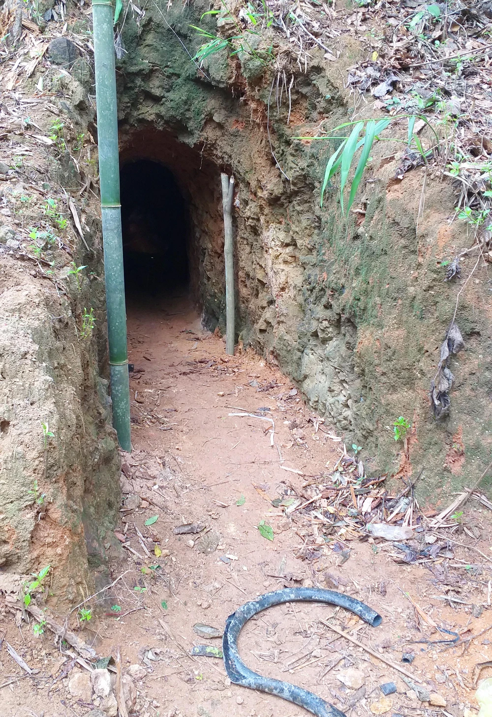 Trước đây, khu vực này có xảy ra khai thác vàng nhưng hiện nay đã không còn, chỉ còn hầm cũ.