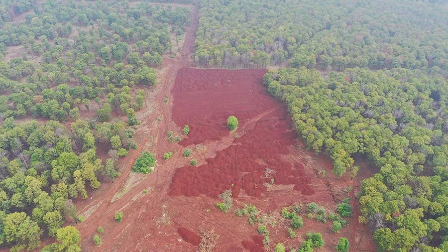 Bãi đổ đất trái phép nằm giữa rừng thông xã Tân Bình, khu vực ngoài vùng dự án sân golf Đắk Đoa.