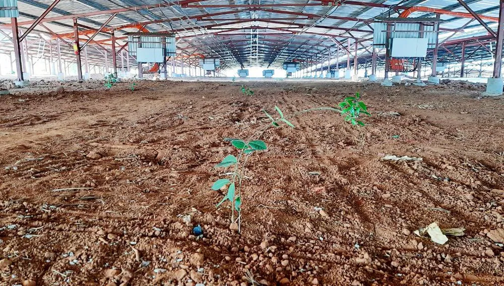 Rất nhiều công trình điện mặt trời mái nhà đi vào vận hành nhưng không có công trình nông nghiêp hay chăn nuôi phía dưới theo quy định. Ảnh: LK Rất nhiều công trình điện mặt trời mái nhà đi vào vận hành nhưng không có công trình nông nghiêp hay chăn nuôi phía dưới theo quy định. Ảnh: LK