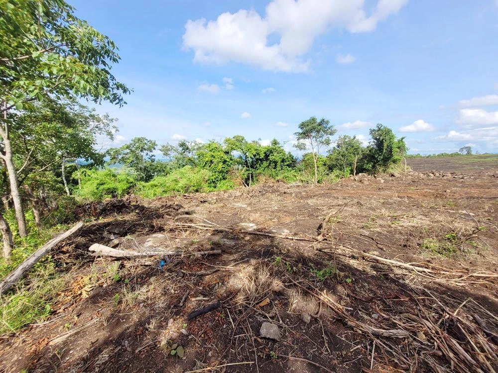 Hạt kiểm lâm Chư Sê khởi tố vụ án hủy hoại rừng