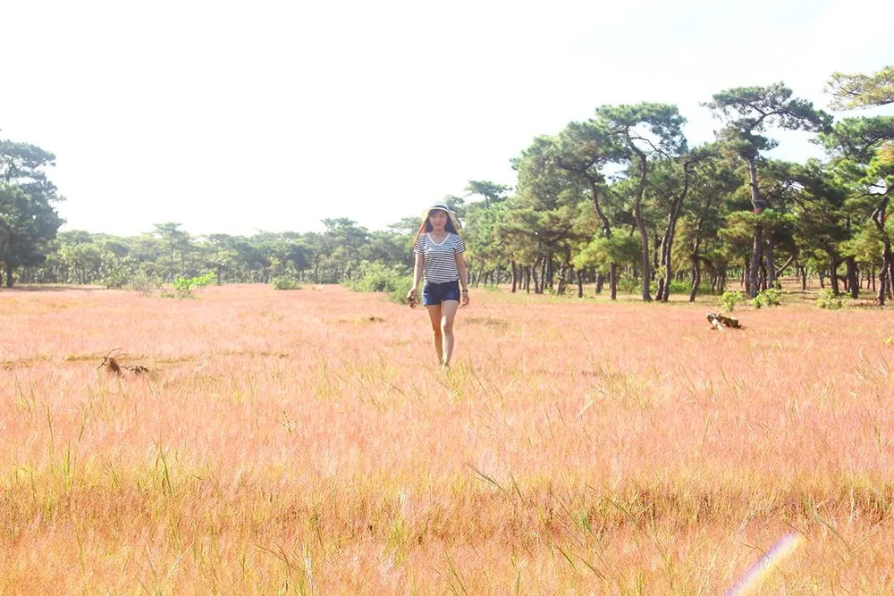 Dự án sân golf Đắk Đoa khiến đồi cỏ hồng tuyệt đẹp không còn nữa. Ảnh: LK