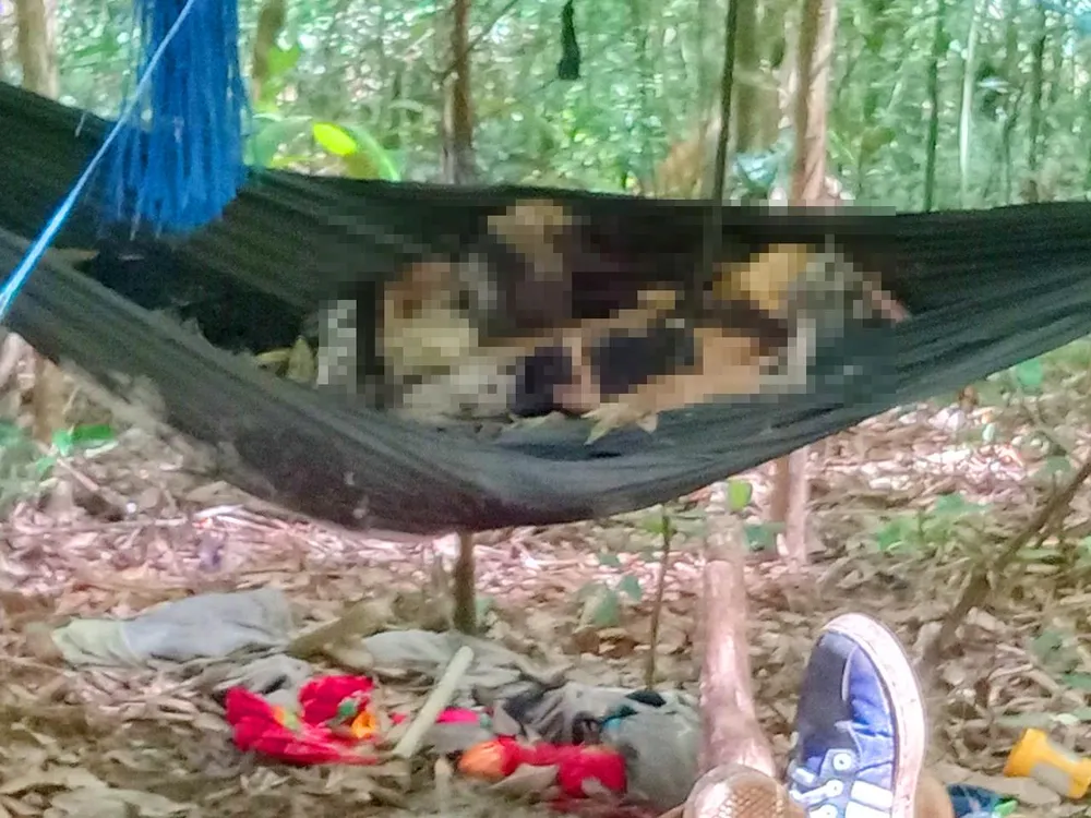 Hai thi thể được phát hiện trong rừng Kbang. Ảnh: LA.