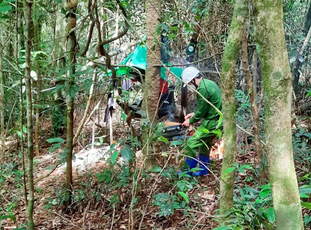 Cơ quan chức năng đang giám định ADN hai thi thể. Ảnh: LT.