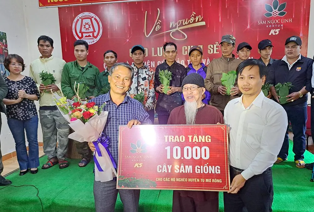 Công ty Cổ phần Sâm Ngọc Linh Kon Tum tặng 10.000 cây sâm giống. Ảnh: LK.