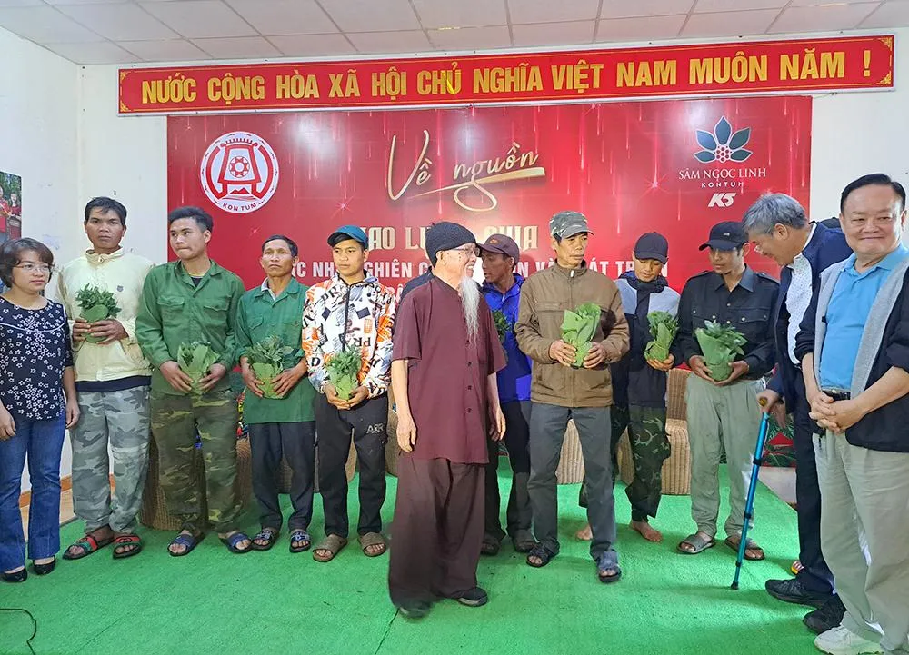 Người dân được tặng sâm giống trồng bù vào diện tích bị bệnh.