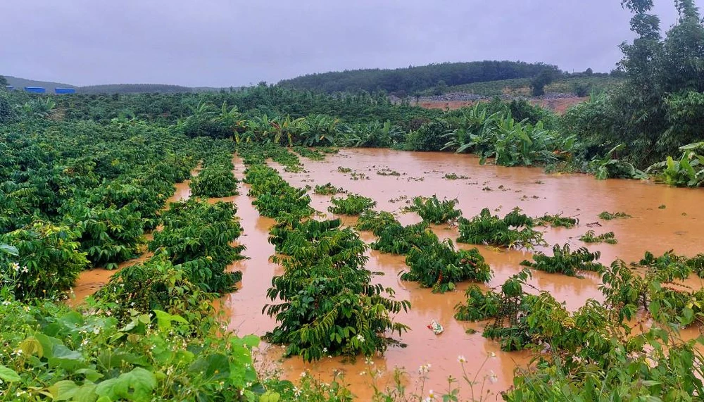 Tỉnh Kon Tum vẫn đang thống kê thiệt hại do mưa bão số 4.