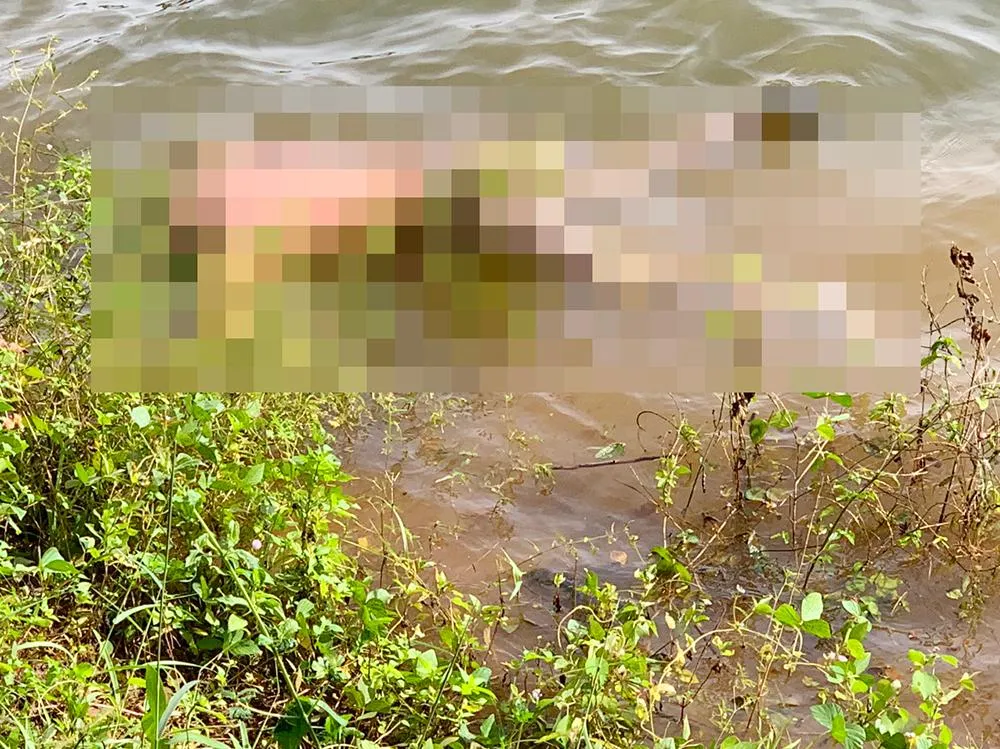 Hiện trường tại khu vực Biển Hồ. Ảnh: LT.