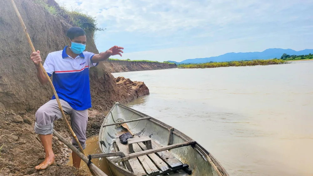 Người dân bất lực nhìn đất đai bị mất dần do sạt lở. Ảnh: LK. Người dân bất lực nhìn đất đai bị mất dần do sạt lở. Ảnh: LK.