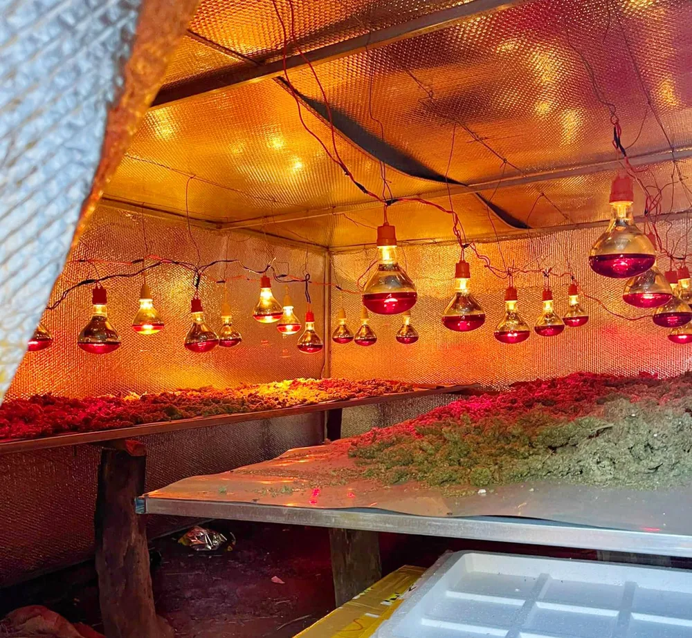 Khu &quot;công xưởng&quot; mini sơ chế cần sa. Ảnh: CACC.