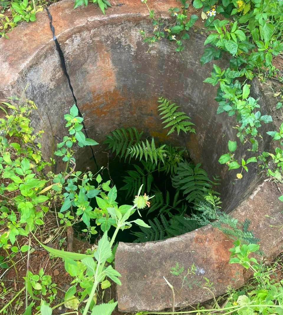 Giếng nước bỏ hoang trong rẫy bắp rất nguy hiểm. Giếng nước bỏ hoang trong rẫy bắp rất nguy hiểm.