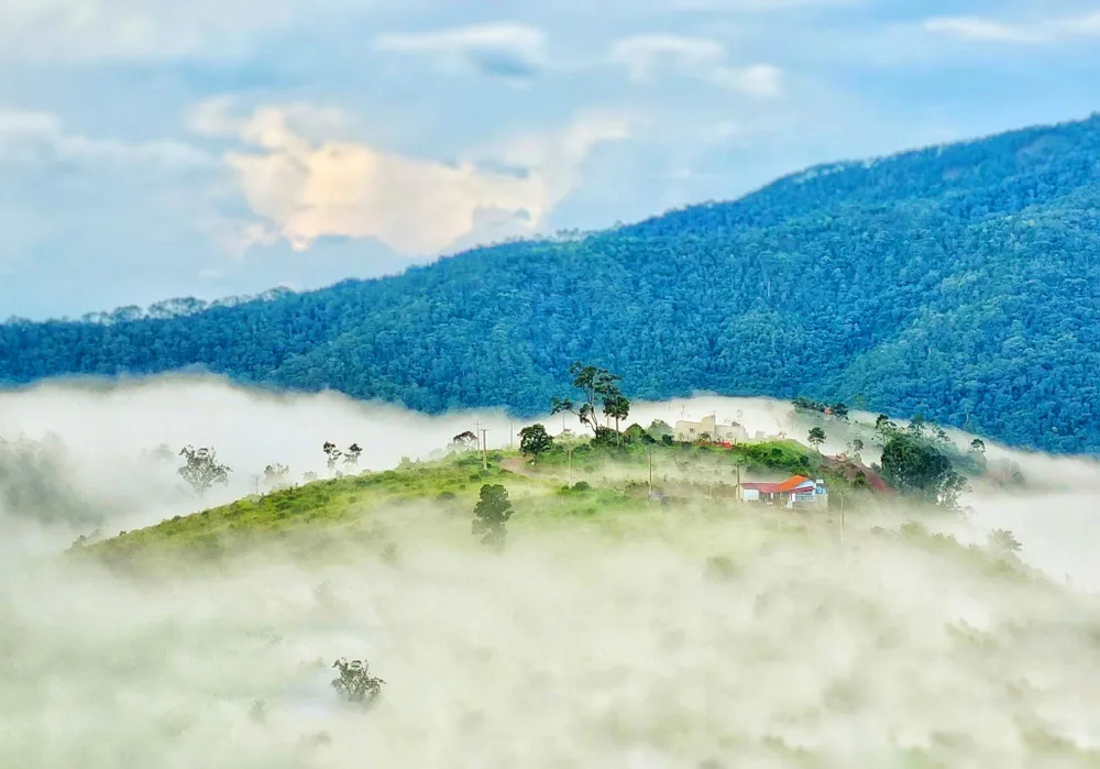 Một góc Măng Đen phủ trong sương mù, mờ ảo. Một góc Măng Đen phủ trong sương mù, mờ ảo.