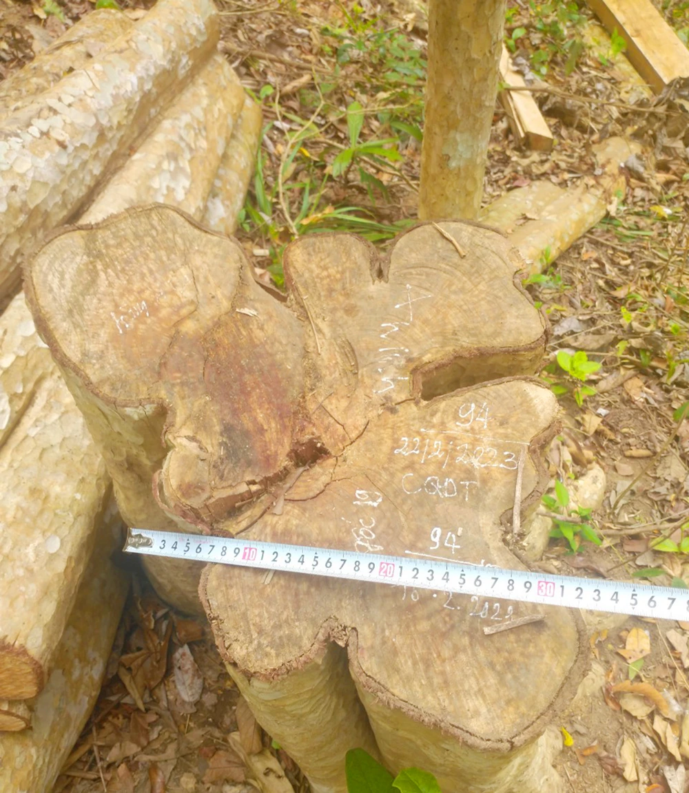 Tại hiện trường còn lại khoảng 4 m gỗ. Ảnh: KL