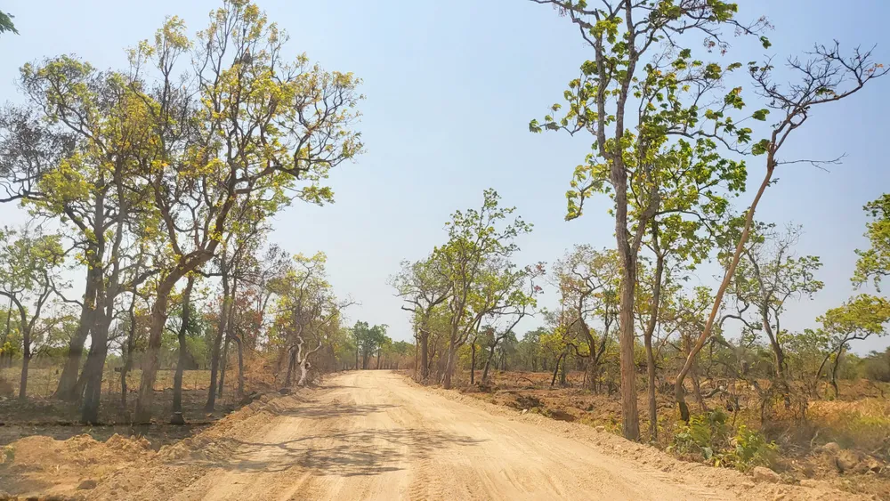 Con đường được san ủi, mở trên đất lâm nghiệp. Ảnh: LK.
