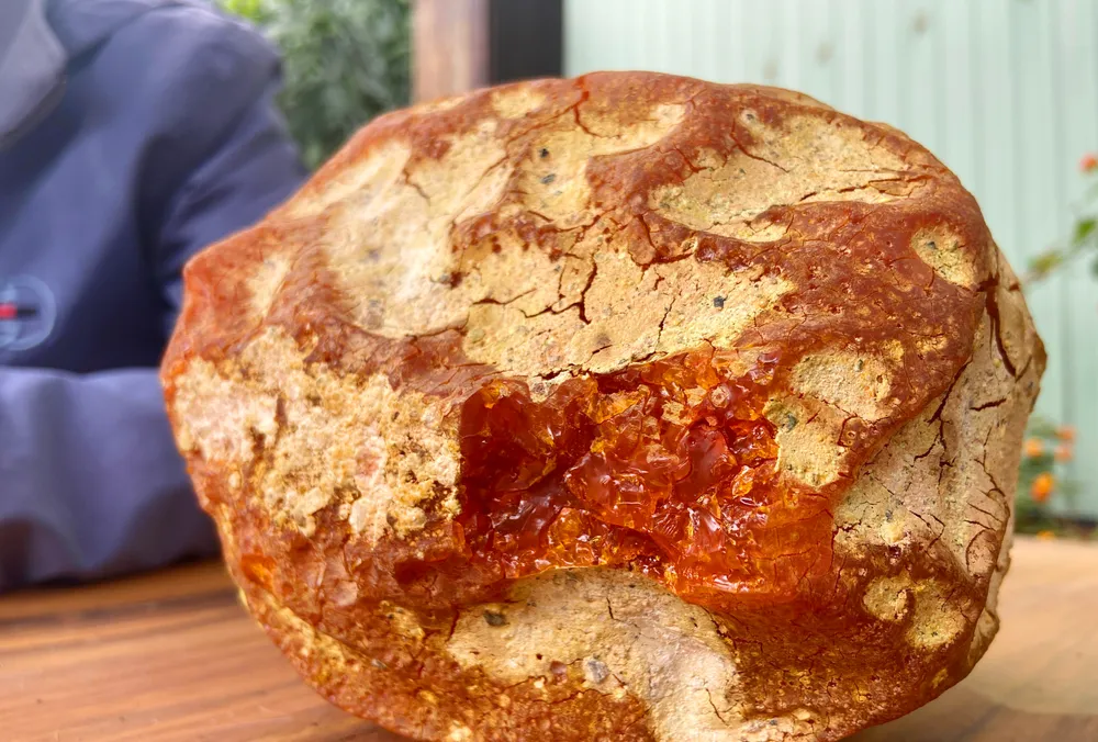 Ông Trí cho biết, nhiều người nói đây là khối hổ phách đặc biệt.