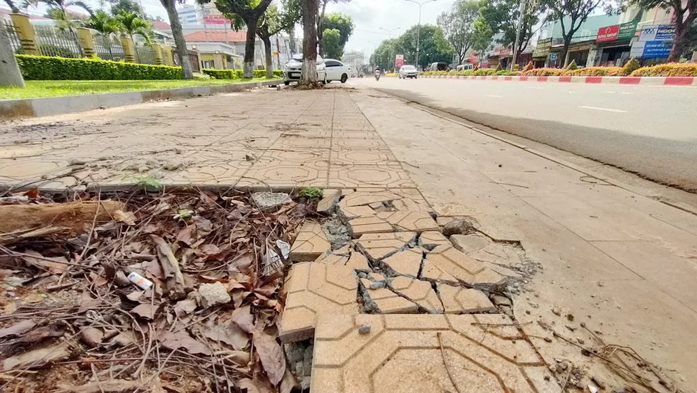 Gạch ngay vị trí cây xanh đô thị bị vỡ vụn.