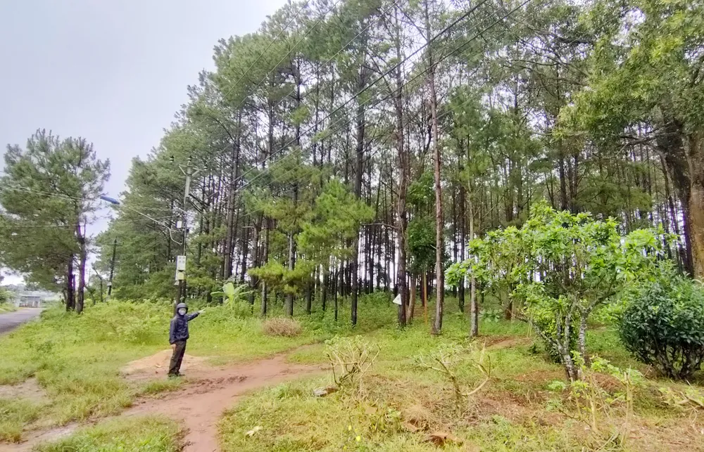 Khu vực đất xảy ra tranh chấp trên đường Lê Văn Sỹ có giá rất cao. Ảnh: LK