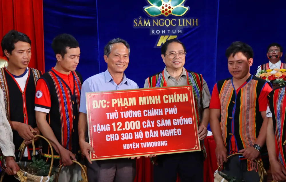 Dịp này, Thủ tướng tặng 12.000 cây sâm Ngọc Linh giống cho hộ nghèo.