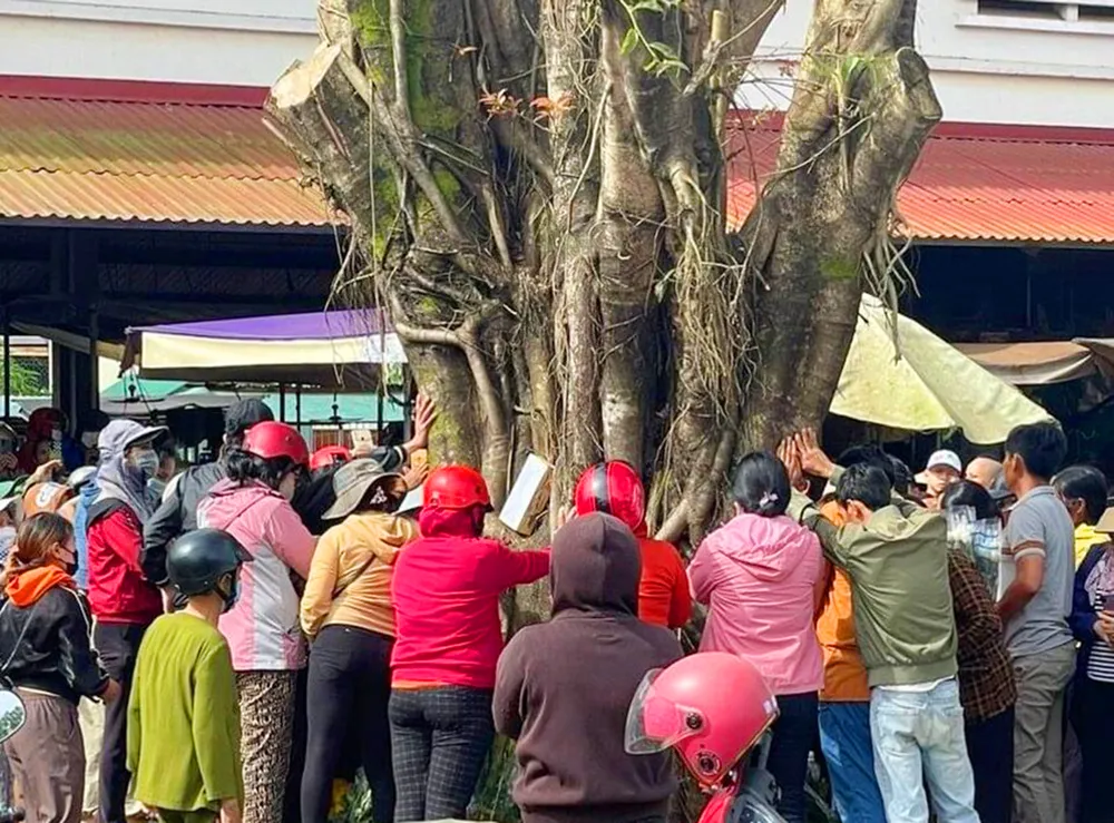 Nhiều người dân hiếu kỳ tụ tập về xem cây có hình mặt người tại chợ Nghĩa Hưng. Ảnh: ND