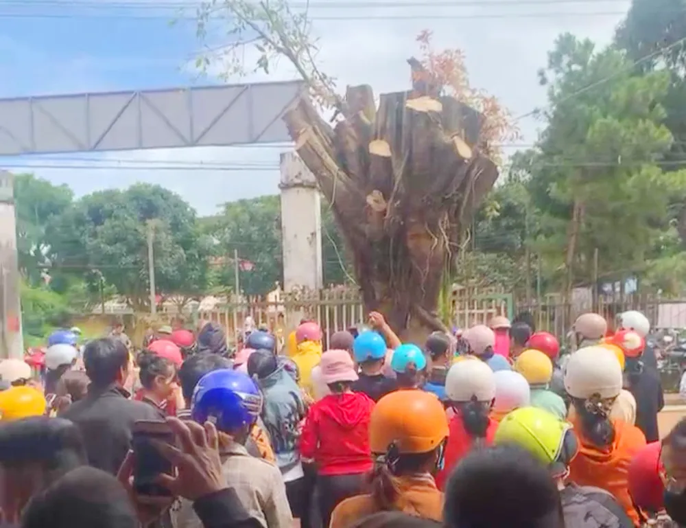 Có thời điểm, nơi đây có khoảng 100 người tụ tập.